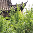 67YMsMVJ6bo-channel-avatar-shelley