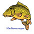 -S94u6ZJn1o-channel-avatar-madkeencarper