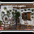 U6ZNgjfAyM4-channel-avatar-TEMPLO FLAMENCO