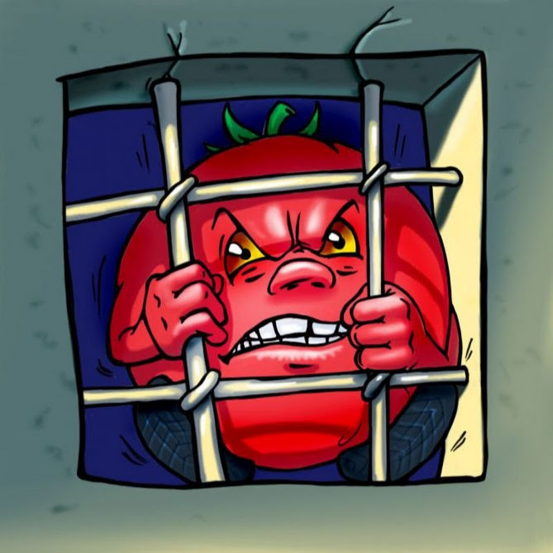 pzr_stream logo