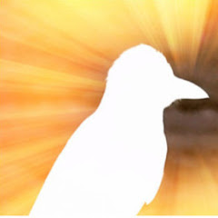 Beyond Room 313 net worth