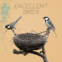 Excellent Birds logo