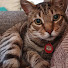 KxJZgyu4nyE-channel-avatar-Catt Mars