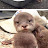 @kim04091200