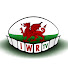 HU0lO0ZqUGM-channel-avatar-IWRTV