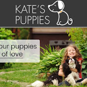 Kates Puppies