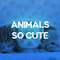 Animals So Cute Image Thumbnail