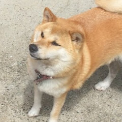 姉さん