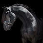 Ted Kop Jansen Friesian Horses logo