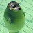 youtube avatar