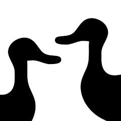 Les canards s'entêtent