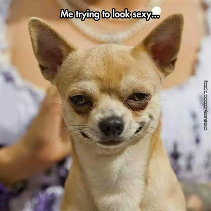 Sexy Funny