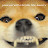 @BreadAssailant's avatar