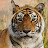 @richardhurr31's avatar