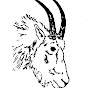 Northern Wild Sheep and Goat Council