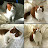 @AyaAhmed-ek3xh