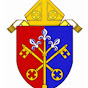 Ordinariate of the Chair of Saint Peter logo