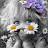 @charmae-candysix3643's avatar