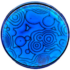 NileBlue Avatar