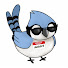 41BCQhoYBWY-channel-avatar-Jaobird