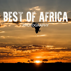 Best of Africa Avatar