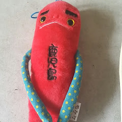 2007恋乃羽
