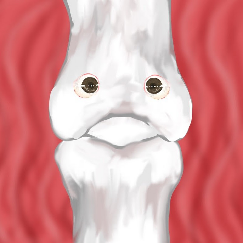 ひざなんこつくんのグルコサミンチャンネル