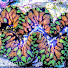 KifjEnJ6g9w-channel-avatar-Pacific East Aquaculture