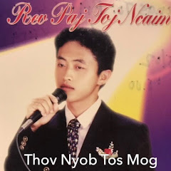 Tub Xyooj Channel net worth