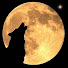 0WBFHzmXy4A-channel-avatar-WILLY N.R.