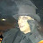 @wilsonchadbenitez3021