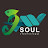 Javsoul Technology