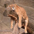 KjThIxFYd_8-channel-avatar-The Hardworking Lazies