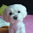 @미륵-c5u