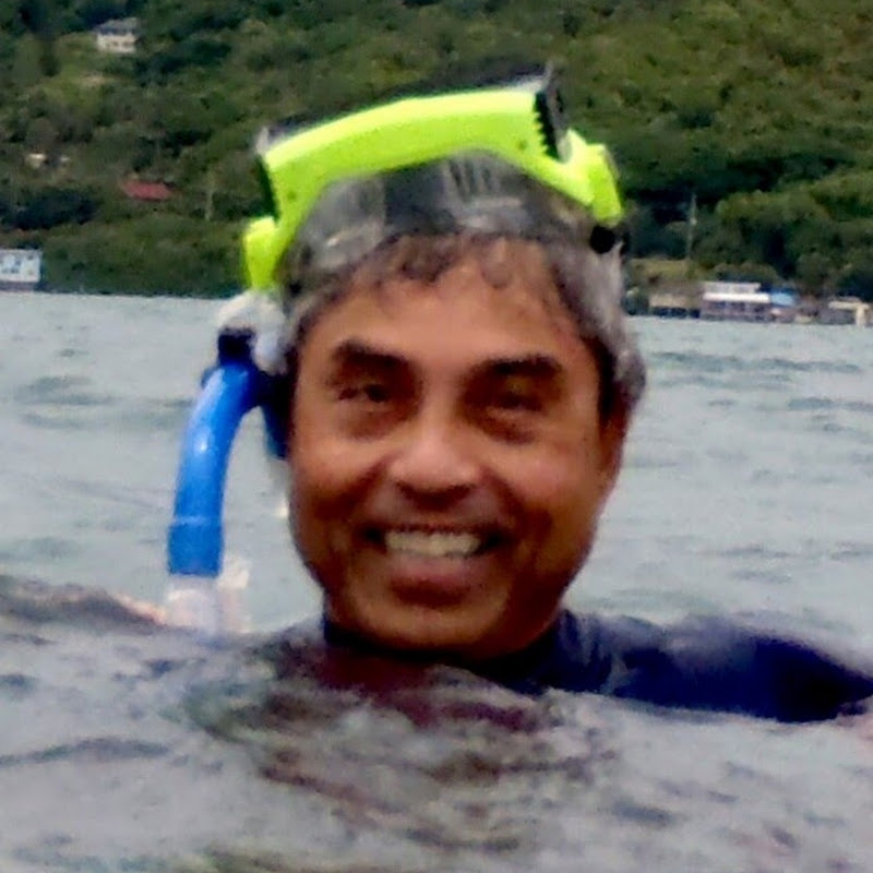 wbshort