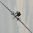 @Air_Cardinal Avatar