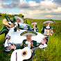 The Mariachis logo