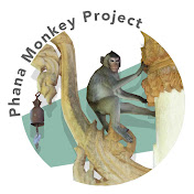 phanamonkeyproject