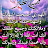 @mostafaaskr5168