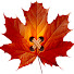 jvTAlrhmSio-channel-avatar-Stitch of Nature