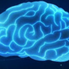 Medical Mania net worth