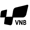 What could Cộng đồng cầu lông Việt Nam - VN Badminton buy with $10.1 million?