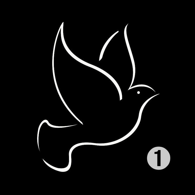 Black Bird Rewind