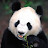 @baptistesan3314's avatar