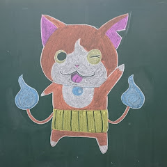 Raccoon Dog Channel-たぬき-