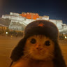 Автор