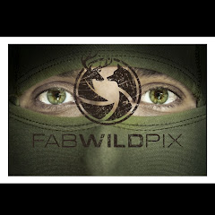 FabWildPix net worth