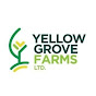 Yellow Grove Farms logo