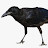 @kburd67 Avatar