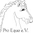 mcV3kHKizmo-channel-avatar-Barbara ProEquo eV